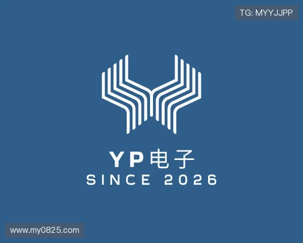 解读YP电子
